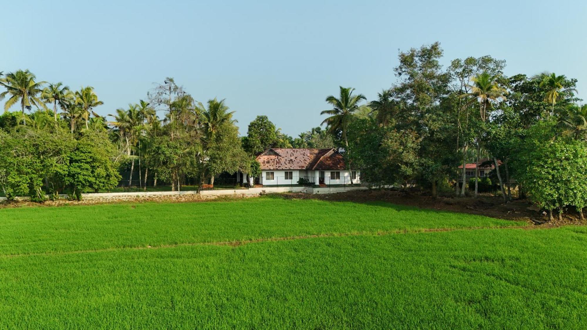 Paadam By The Backwaters 库玛拉孔 外观 照片